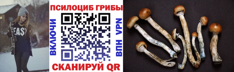 Псилоцибиновые грибы Psilocybine cubensis  Купить  Тетюши 